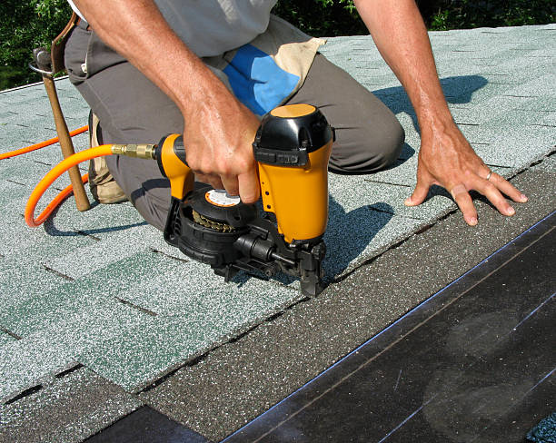 Best Gutter Installation and Roofing  in Northdale, FL